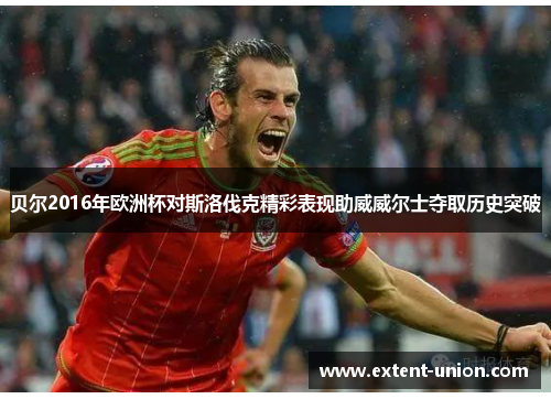 贝尔2016年欧洲杯对斯洛伐克精彩表现助威威尔士夺取历史突破