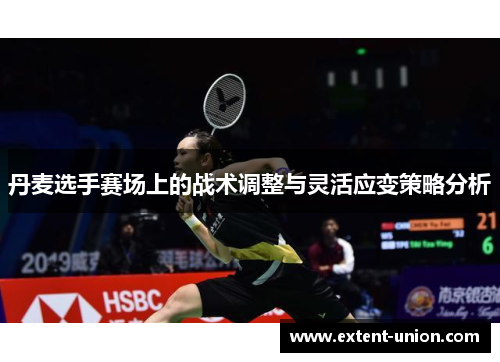 丹麦选手赛场上的战术调整与灵活应变策略分析