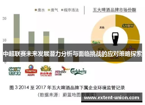 中超联赛未来发展潜力分析与面临挑战的应对策略探索
