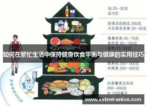 如何在繁忙生活中保持健身饮食平衡与健康的实用技巧