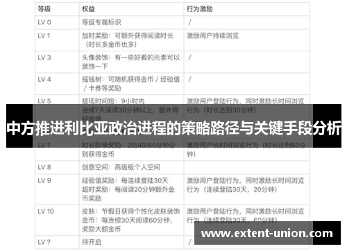 中方推进利比亚政治进程的策略路径与关键手段分析