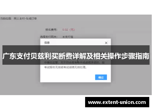 广东支付贝兹利买断费详解及相关操作步骤指南