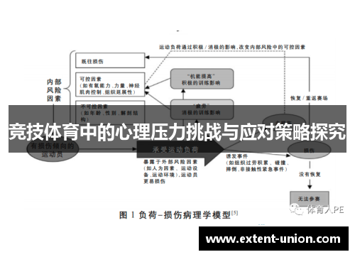竞技体育中的心理压力挑战与应对策略探究