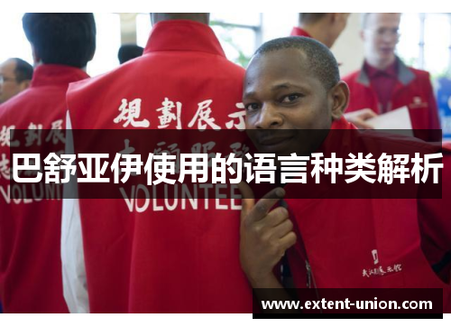 巴舒亚伊使用的语言种类解析